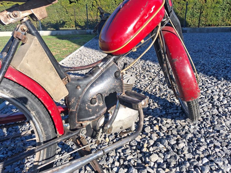 Komar sztywniak 1968