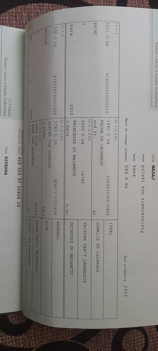 Zrebica zimnokrwista