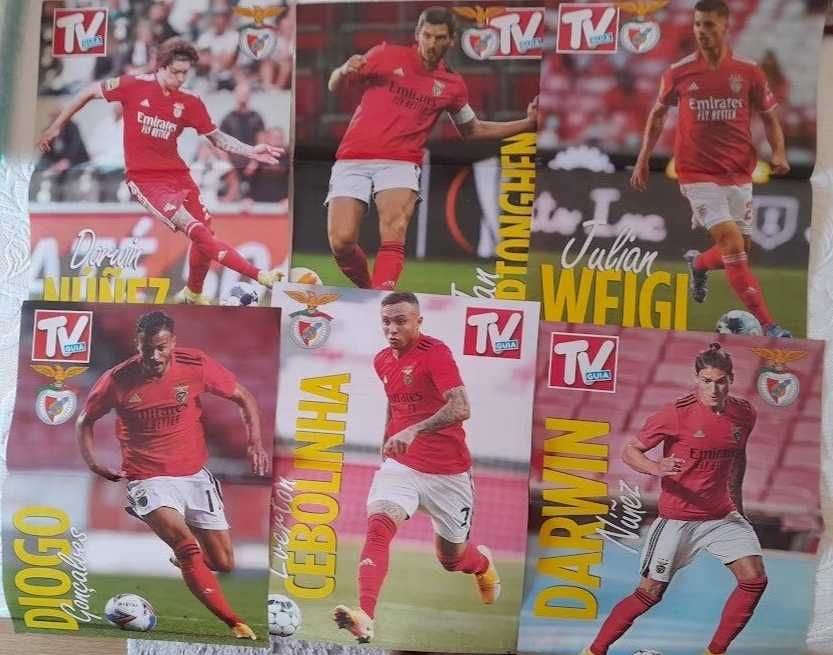 SL Benfica posters
