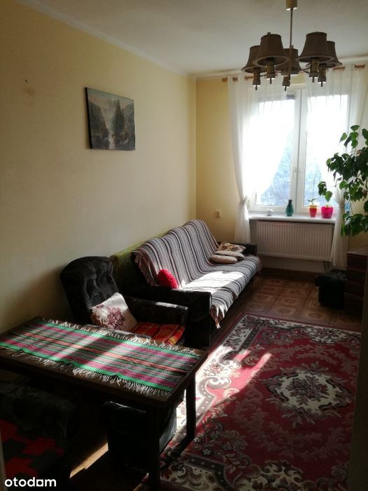 2 Pokoje+piwnica w dobrej lokalizacji/DO REMONTU!!