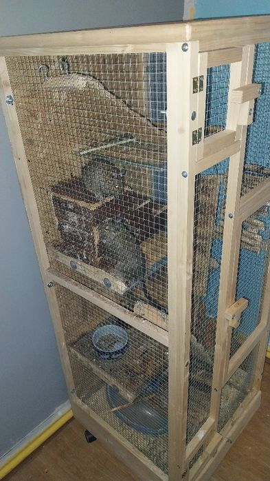 sprzedam 3 koszatniczki z dużą klatką