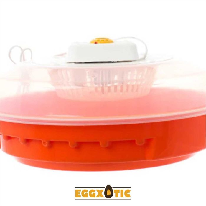 Chocadeira Automática - Galinhas, Aves Exóticas e Reptéis