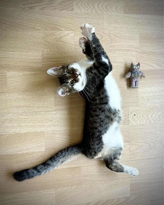 Kochany Lufcik zwany Statywem ma trzy łapki…