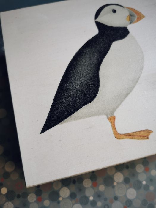 Drewniane pudełko maskonur puffin Islandia