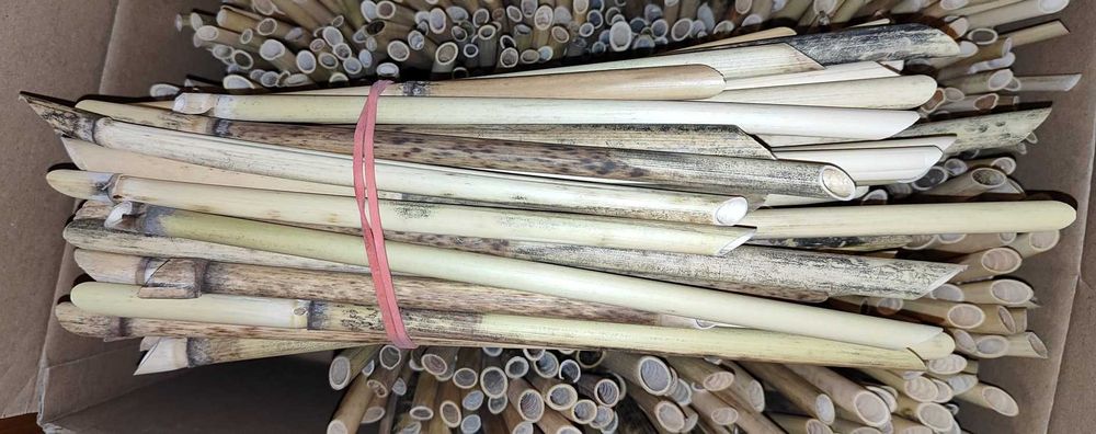 Rurki trzcinowe , trzcina , murarka rogata , 300.