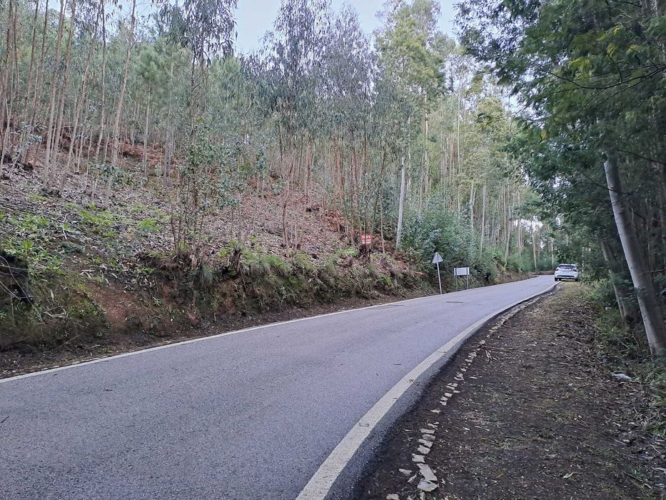 Terreno Rústico com 2.000 m² junto à Mata de Vale de Canas — Coimbra