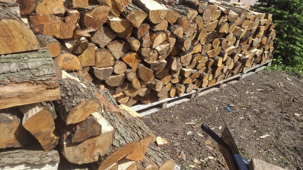 Drewno kominkowe I opałowe Olcha