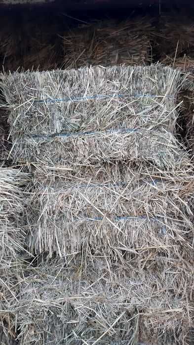 Сено пырей с разнотравьем 130грн тюк