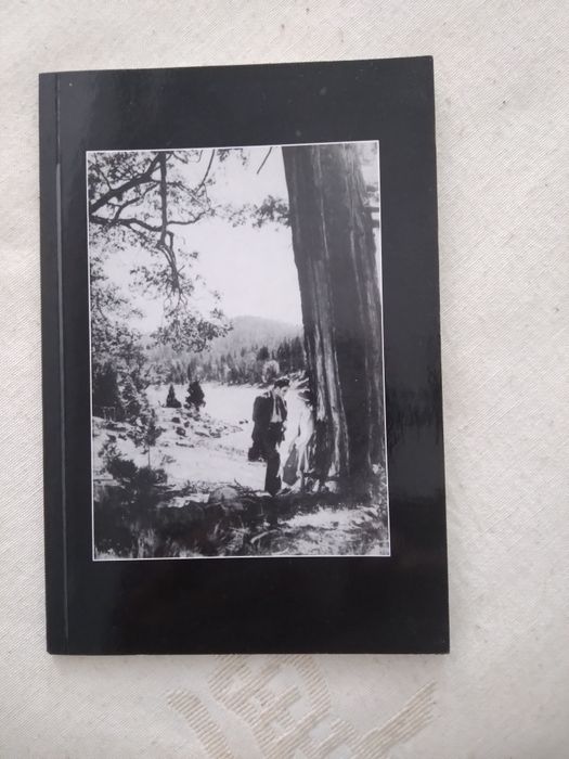 Fernando Cabral Martins,  Western