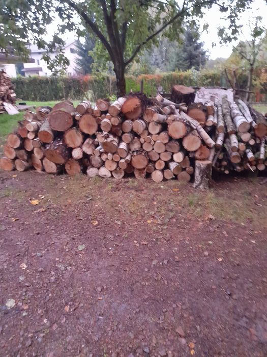 Drewno opałoe Brzoza grab