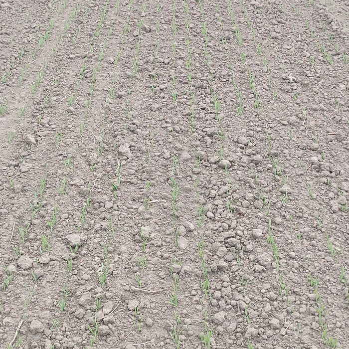 Сівалка юко 2.5м