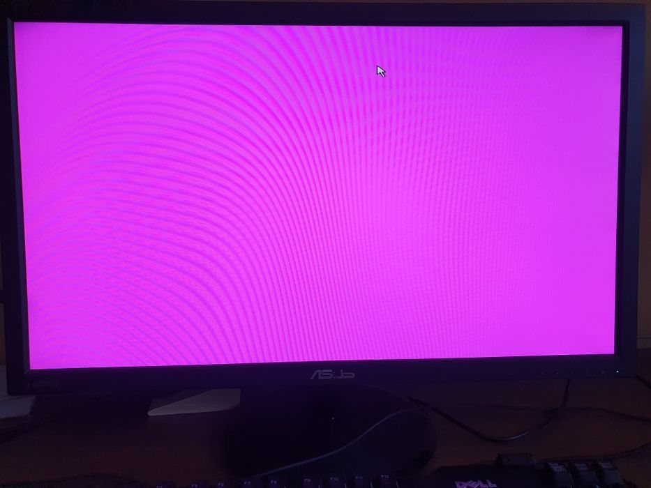 Monitor ASUS 24 cale, FullHD mocowanie VESA