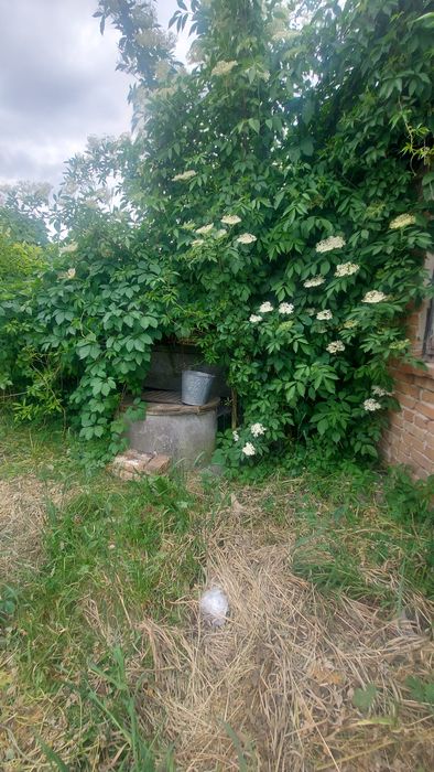 Терміново! Будинок з великою земельною ділянкою в с.Жовтанці