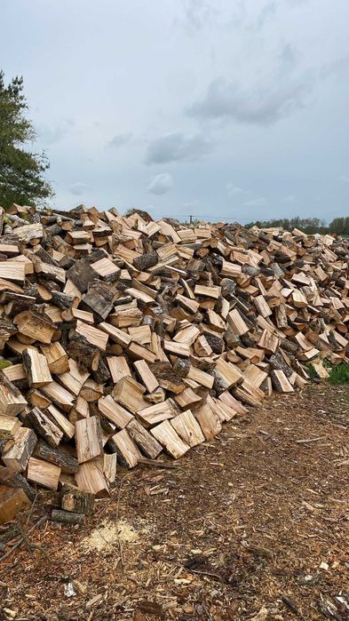 Drewno opałowe liściaste