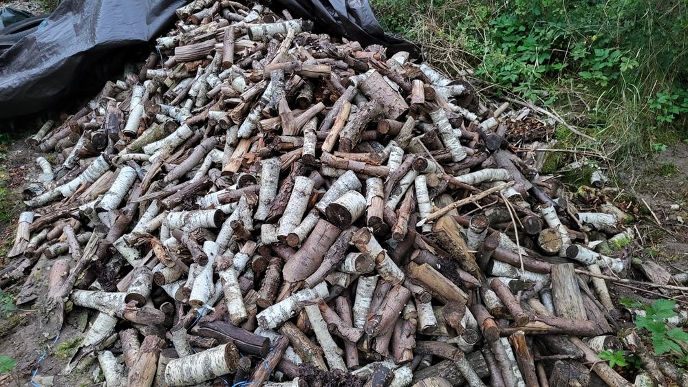 Drewno opałowe liściaste