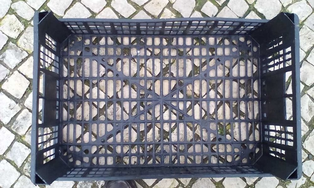 Plastic fruit basket423806361666201606