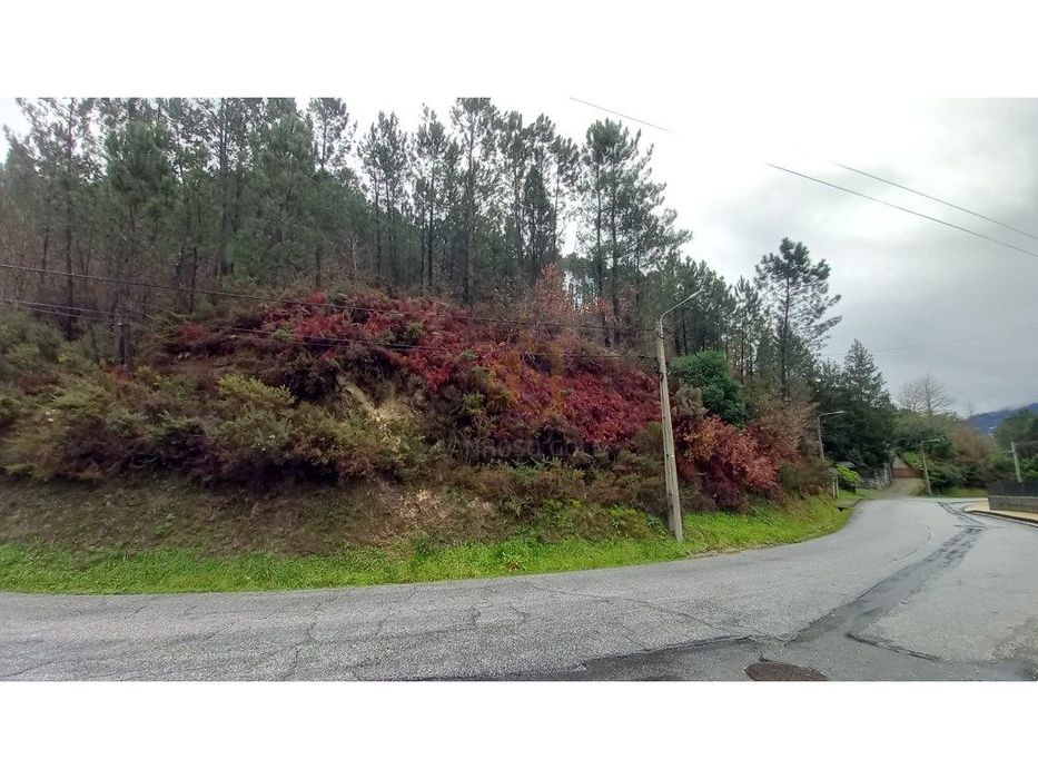 Terreno Urbano