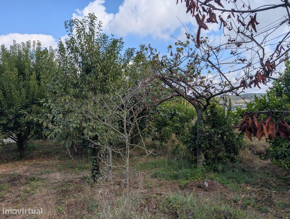 Terreno Misto em Vilaça – 1.100 m²