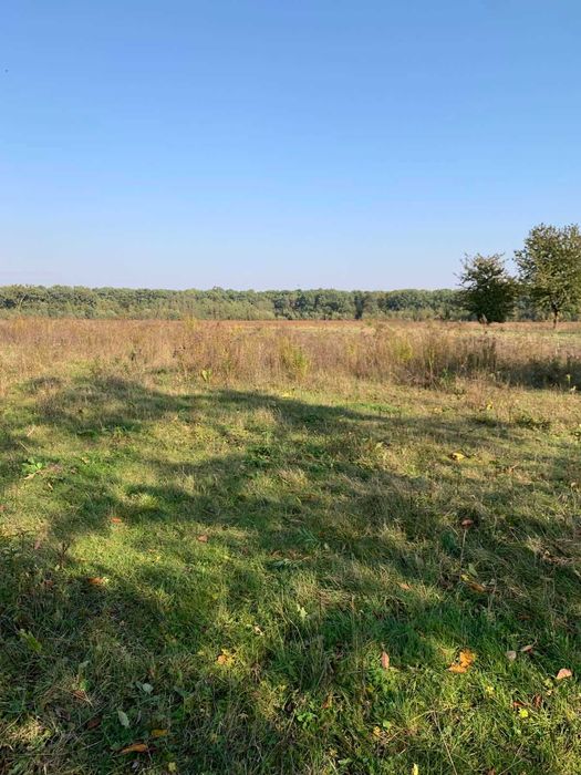 Продам Будинок площею 67,7 кв.м. та ділянка 0,25 га Луцький с. Озденіж