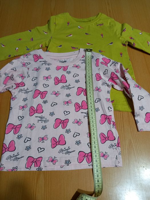 Лонгсліви на дівочку 12-18 місяців