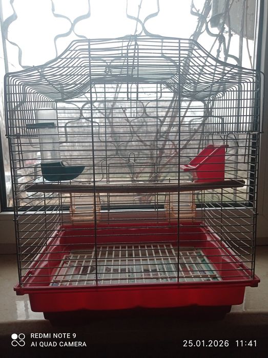 Клетка для попугайчика. См. все фото. Красивый цвет..
