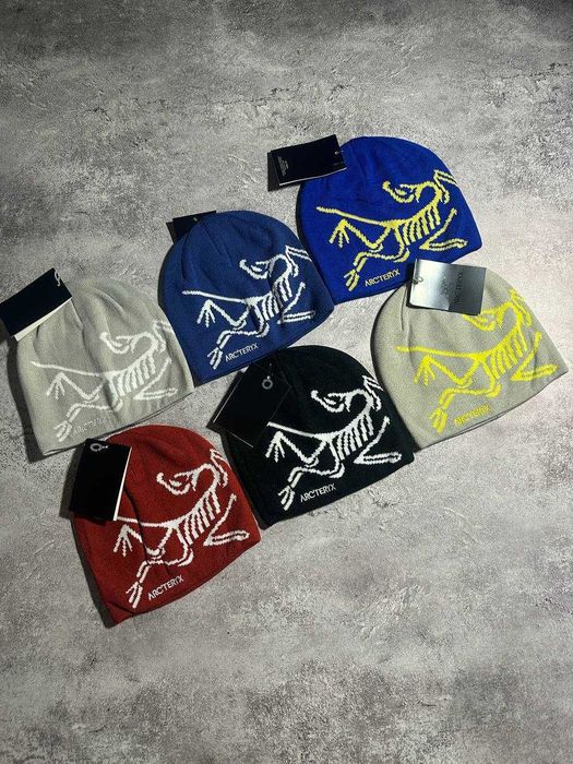 Шапка Arc'teryx | Зимова шапка Arc'teryx Bird Head | Шапка Y2K