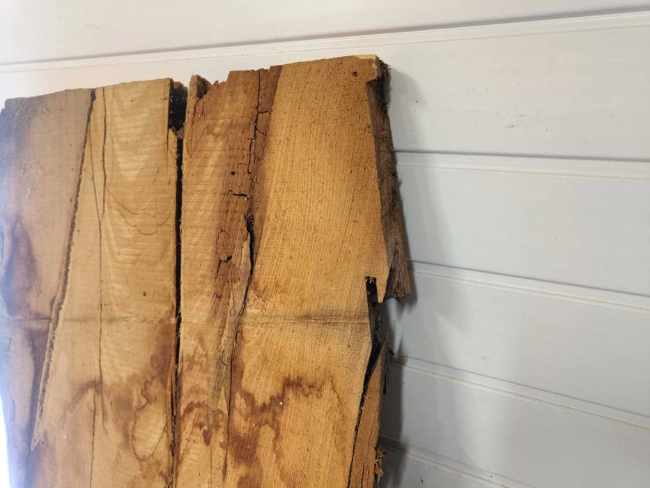 plastry plaster  blat foszty  drewna akacja