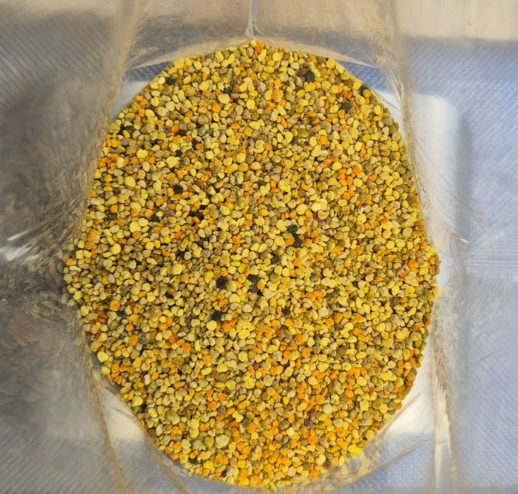 Pyłek Pszczeli 1 kg