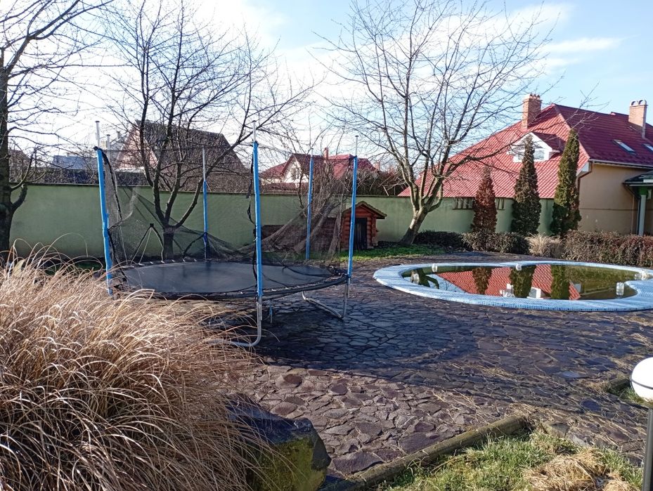 Дім 200 м2 ділянка 12 сотин Берегово Виноградна