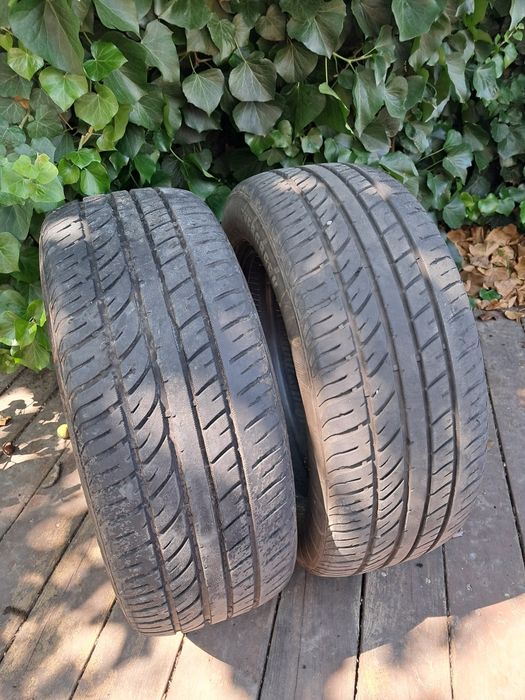 Evergreen 215/55 R16 2021 пара