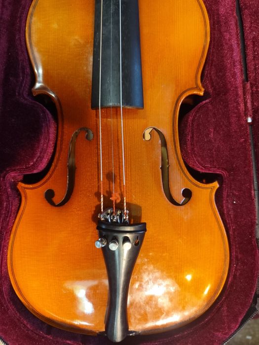 Skrzypce Roth & Junius z futerałem 1/2