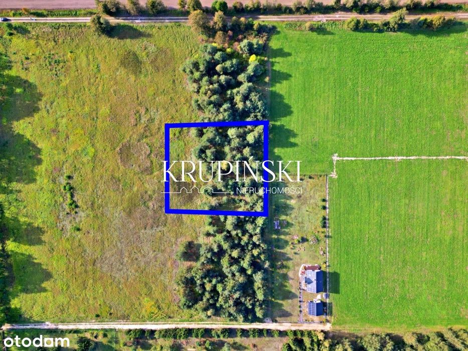 Piękna działka w Zamku Bierzgłowskim! - Widok 4