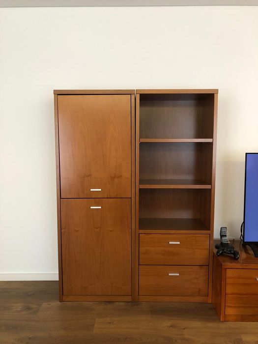 Móvel de televisão