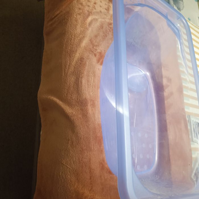 Banheira bebê  banho