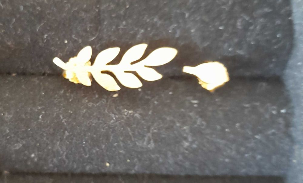 Brincos dourados em prata