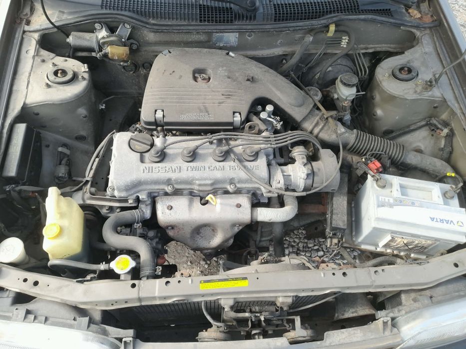 Nissan sanny rajd koguta