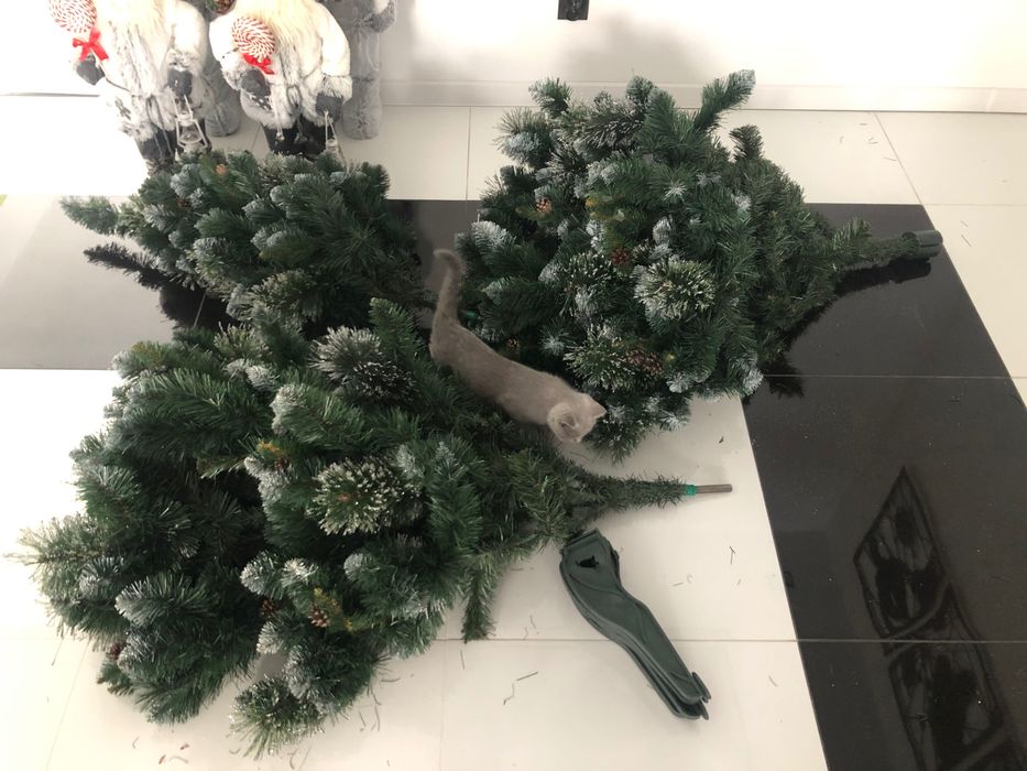 Duża gęsta choinka 220 cm