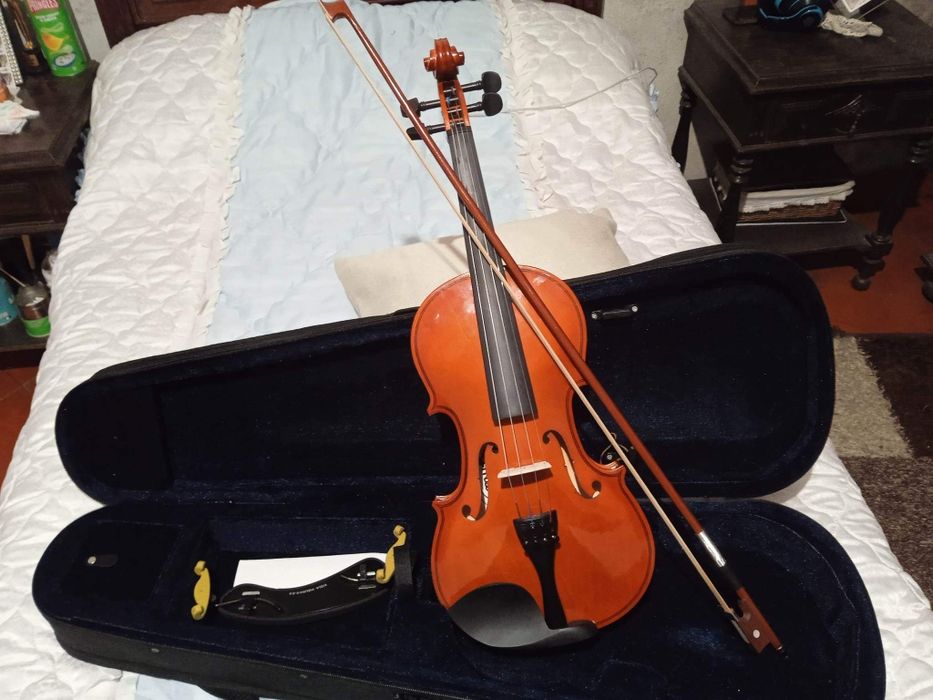 Violino com meio ano