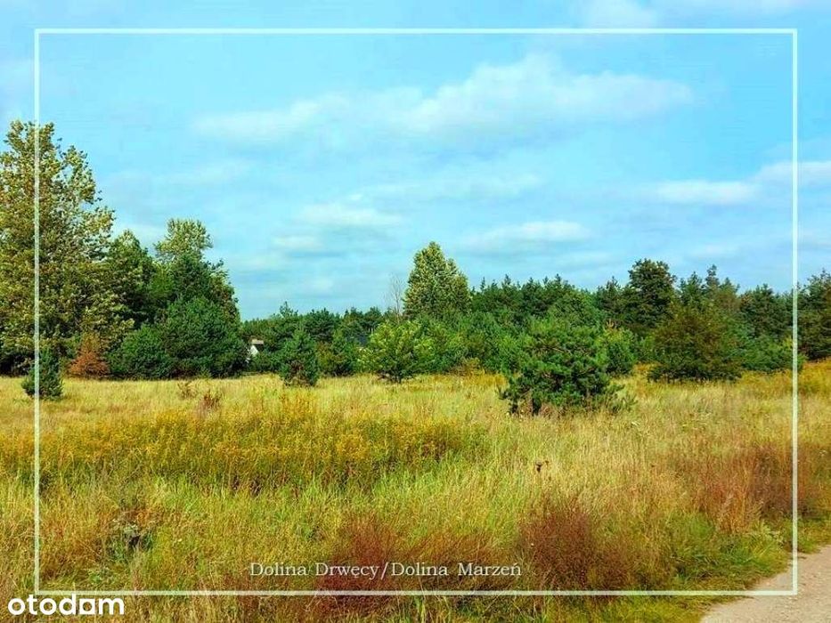 Ostatnie działki w Dolinie Drwęcy z m.p.z.p. z dostępem do strugi! - View 2
