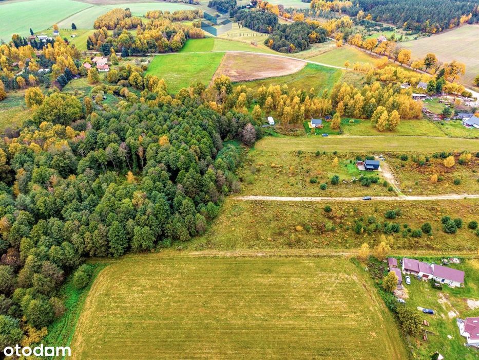 3263 m² | WZ | Blisko jeziora Dąbrowa Wielka