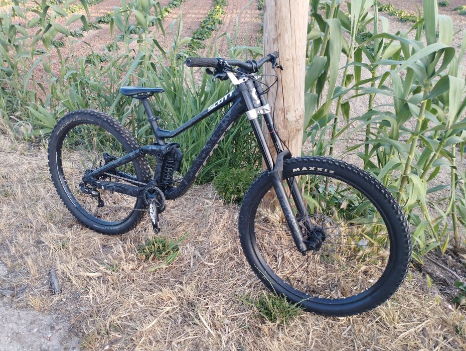 Scott gambler 930