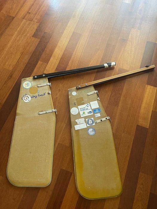 Winner Optimist 2016