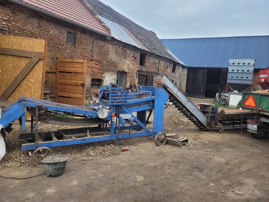 Sortownik do ziemniaków