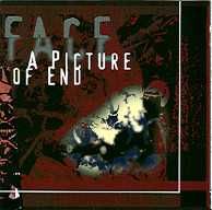 Face CD A Picture Of End   MINIMAL EXPERIMENTAL   unikat ideał