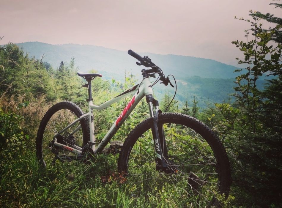 Rower MTB KTM Ultra Fun M 29''