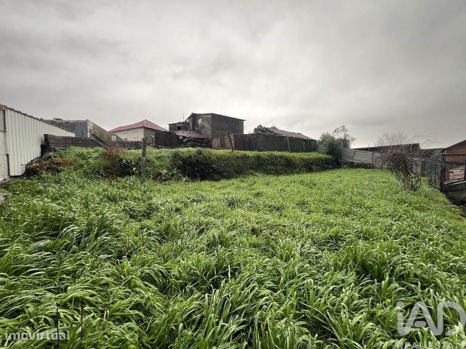 Moradia térrea em Campo e Sobrado de 80 m2