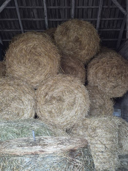 Słoma z mieszanki zbożowej