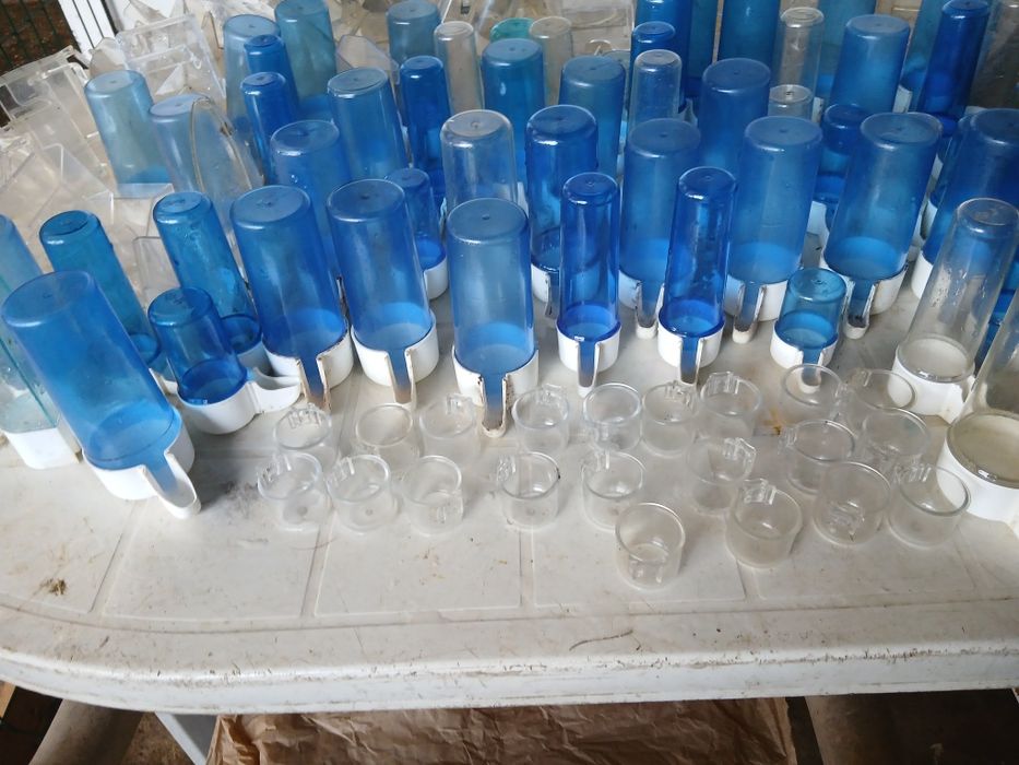 Asesorios para passaros