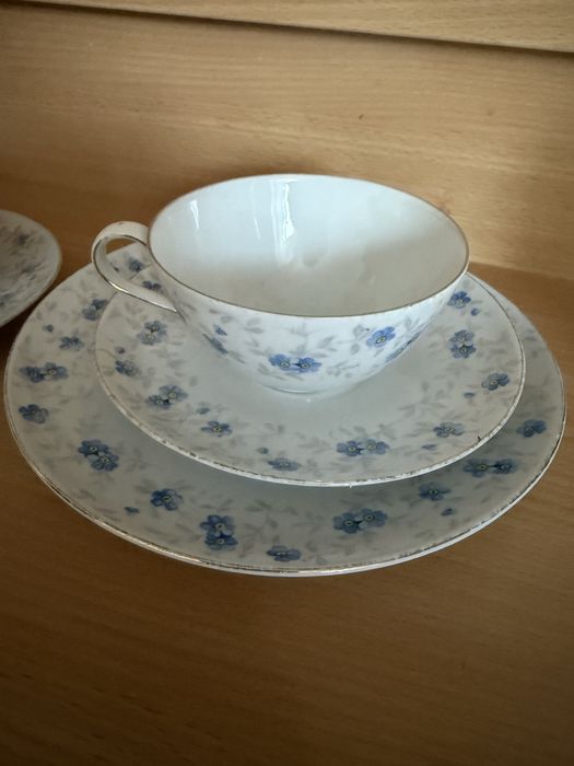 Schumann arzberg трио и чашка с блюдцем