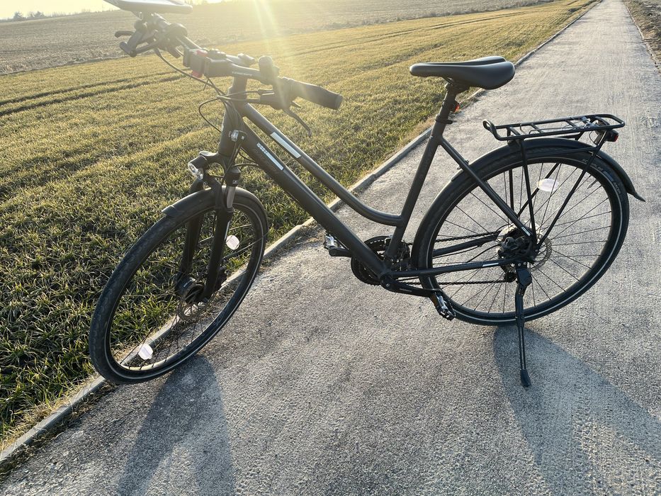 Rower  Rushhour LTD  raleigh 28”